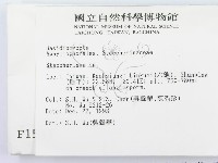 齒耳菌屬藏品圖，第2張