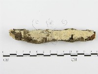 登錄號:F0001538藏品圖，第1張