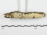 登錄號:F0001538藏品圖，第3張