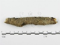 登錄號:F0001538藏品圖，第5張