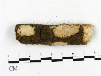 登錄號:F0001539藏品圖，第1張