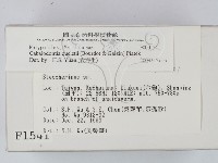 登錄號:F0001541藏品圖，第2張