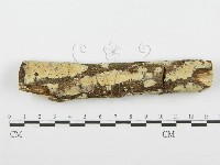 登錄號:F0001541藏品圖，第1張