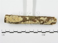 登錄號:F0001541藏品圖，第3張