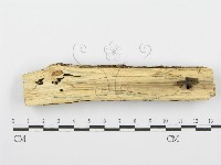 登錄號:F0001541藏品圖，第4張