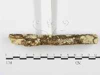 登錄號:F0001541藏品圖，第5張