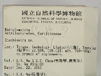 登錄號:F0001542藏品圖，第2張