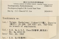 登錄號:F0001542藏品圖，第3張
