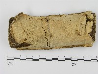 登錄號:F0001544藏品圖，第1張