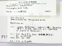登錄號:F0001545藏品圖，第2張
