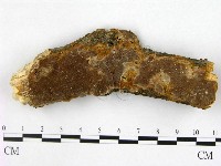 登錄號:F0001545藏品圖，第1張