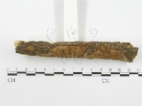 登錄號:F0001545藏品圖，第4張