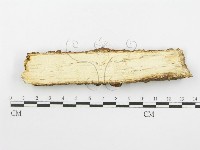 登錄號:F0001545藏品圖，第5張