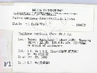 登錄號:F0001546藏品圖，第2張