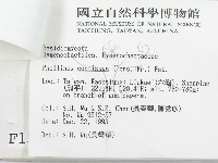 登錄號:F0001546藏品圖，第3張