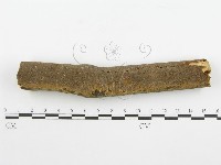 登錄號:F0001546藏品圖，第5張