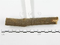 登錄號:F0001546藏品圖，第6張