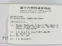 刺革菌屬藏品圖，第2張