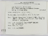 登錄號:F0001548藏品圖，第2張