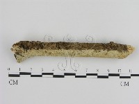 登錄號:F0001548藏品圖，第1張