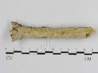 登錄號:F0001548藏品圖，第3張