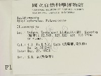 寡孔菌屬藏品圖，第2張