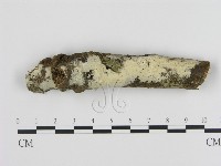 登錄號:F0001551藏品圖，第1張