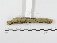 登錄號:F0001556藏品圖，第3張