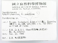 硬孔菌屬藏品圖，第2張