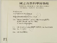 登錄號:F0001559藏品圖，第2張