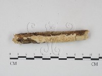 登錄號:F0001559藏品圖，第3張