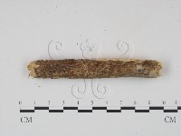 登錄號:F0001559藏品圖，第4張