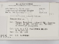 登錄號:F0001560藏品圖，第2張