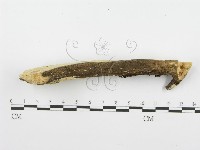 登錄號:F0001560藏品圖，第4張