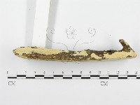 登錄號:F0001560藏品圖，第5張