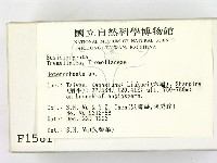 刺皮菌屬藏品圖，第2張
