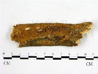 登錄號:F0001563藏品圖，第1張