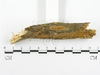 登錄號:F0001563藏品圖，第4張