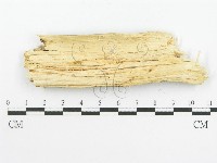 登錄號:F0001563藏品圖，第6張