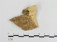 登錄號:F0001564藏品圖，第1張