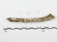 登錄號:F0001565藏品圖，第1張