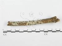 登錄號:F0001565藏品圖，第3張
