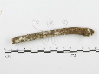登錄號:F0001565藏品圖，第4張