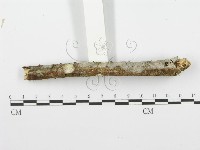 登錄號:F0001565藏品圖，第5張