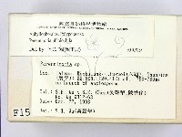 登錄號:F0001566藏品圖，第2張