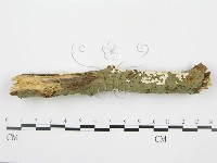 登錄號:F0001568藏品圖，第3張