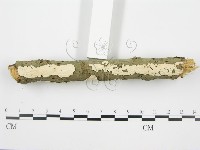 登錄號:F0001568藏品圖，第5張