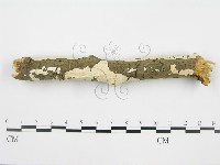 登錄號:F0001568藏品圖，第6張