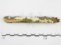 登錄號:F0001568藏品圖，第7張