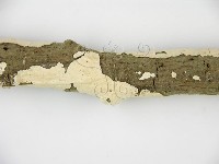 登錄號:F0001568藏品圖，第8張